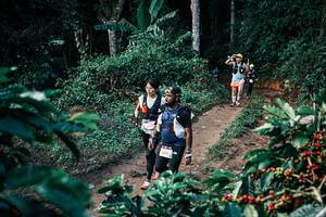 BIB: 
                            <button type="button" onclick="openModal(25831135)" class="btn btn-primary btn-sm float-right btn-popup" data-toggle="modal" data-target=".modal-high-quality">
                        <i class="fas fa-shopping-cart"></i> Add to Cart
                    </button>
                                            <button type="button" onclick="isThisMe(25831135, true)" class="btn btn-success btn-sm float-right btn-popup btn-isme hidden" data-toggle="tooltip" data-placement="bottom" title="นี่คือรูปของคุณใช่ไหม คลิกที่นี่เพื่อเอาเข้าอัลบั้ม">
                        <i class="fas fa-plus"></i> Add to album
                    </button>
                    <button type="button" onclick="isThisMe(25831135, false)" class="btn btn-warning btn-sm float-right btn-popup btn-isnotme hidden">
                        <i class="fas fa-ban"></i> Remove from album
                    </button>